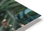 dew HD Metal print