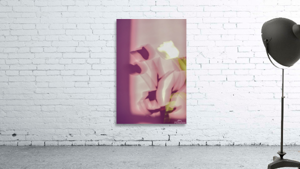 my beautiful tulips Wall Preview