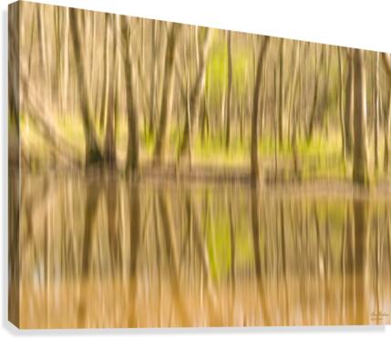 forest park reflections Canvas Print