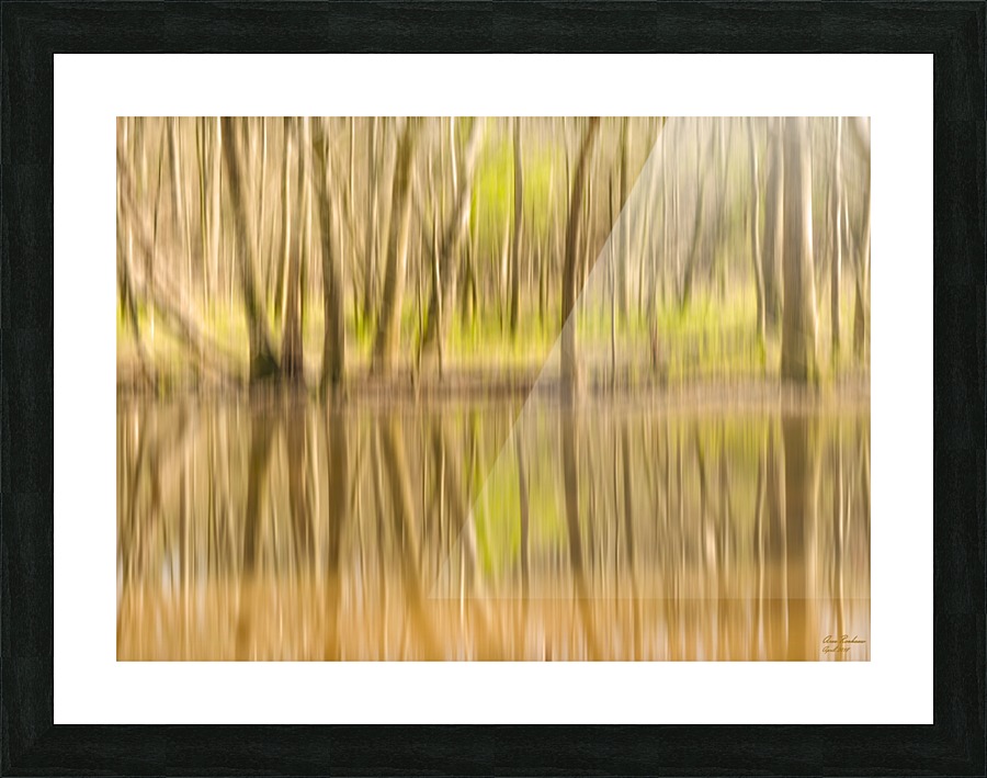 forest park reflections Picture Frame print