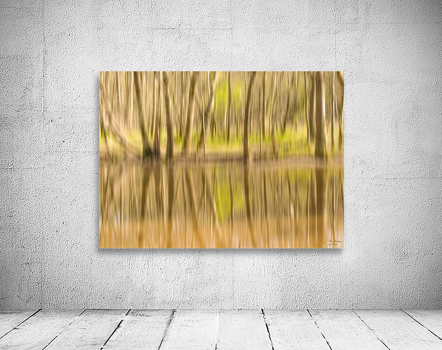 forest park reflections Wall Preview
