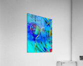 LIFES INTERSECTIONS Acrylic Print