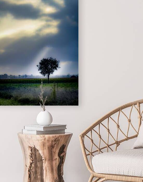 Brittany - France - Tree at sunrise -  1651 by Craig Stewart