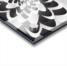 Monochrome Art Acrylic print