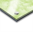 Green Snowflake Acrylic print