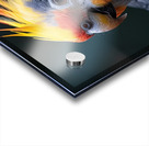 Cockatiel Bird Acrylic print