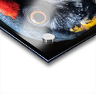 Lory Bird Acrylic print