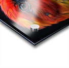 Asian Beautiful Bird Acrylic print