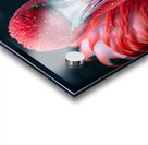 Flamingo Acrylic print
