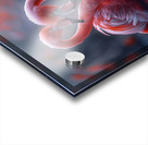 Eternal Love Flamingos Acrylic print