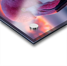 Tropical Flamingo Acrylic print