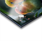 Romantic Lovebird Acrylic print