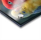 Happy Lovebird Acrylic print
