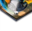 Grand Macaw Acrylic print