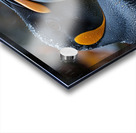 Dazzling Penguin Acrylic print