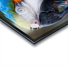 Macaw Eye Acrylic print