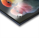 Sweet Couple Acrylic print