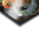 Soulful Bird Acrylic print