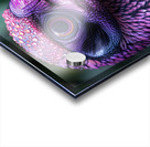 Purple Bird Beak Acrylic print