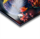 Lorikeet Bird Acrylic print