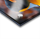 Southern Penguin Acrylic print