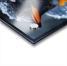 Snowy Penguin Acrylic print