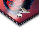 Vibrant Pheasant Bird Acrylic print