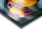 Lovely Toucan Acrylic print