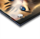 Cats Eye Magic Acrylic print