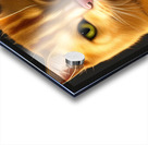 Cat Charisma Acrylic print
