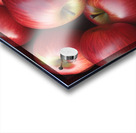 Fresh Apples Acrylic print