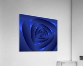 Blue Rose Art Acrylic Print