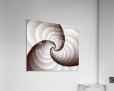 Spirally Acrylic Print