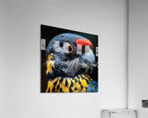 Lory Bird Acrylic Print