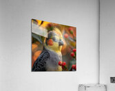 58 Acrylic Print