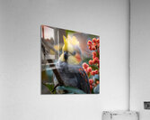 69 Acrylic Print