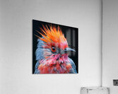 118 Acrylic Print