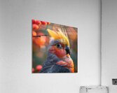 66 Acrylic Print