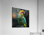 223 Acrylic Print