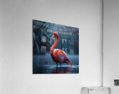 Stunning Flamingo Acrylic Print