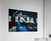 Delightful Peacock Acrylic Print