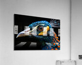 Fantastic Peacock Acrylic Print