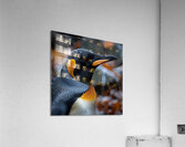 Dazzling Penguin Acrylic Print