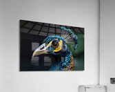 Bold Peacock Acrylic Print