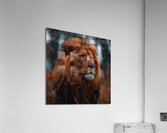 Wild King Acrylic Print