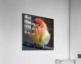 Lonely Bird Acrylic Print
