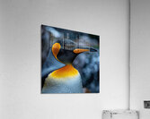 Wild Penguin Acrylic Print