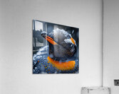 Snowy Penguin Acrylic Print