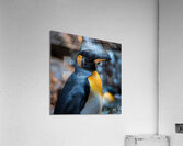 Cute Penguin Acrylic Print