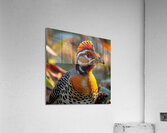 Cute Quail Bird Acrylic Print